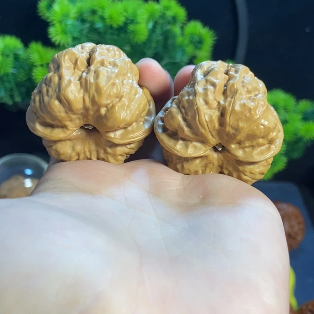 核桃核桃把件文玩蛤蟆头开背9