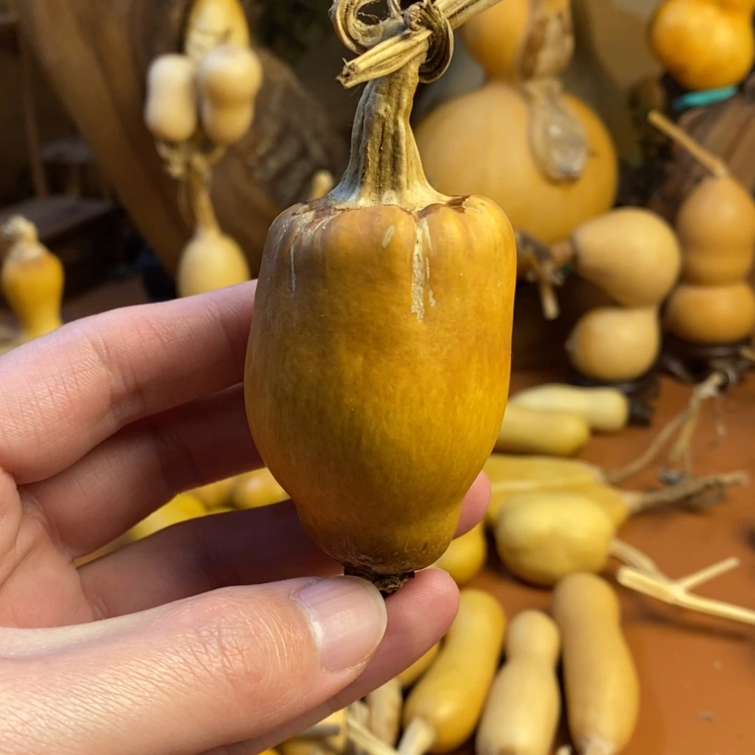 教练教练教练咯教练经理