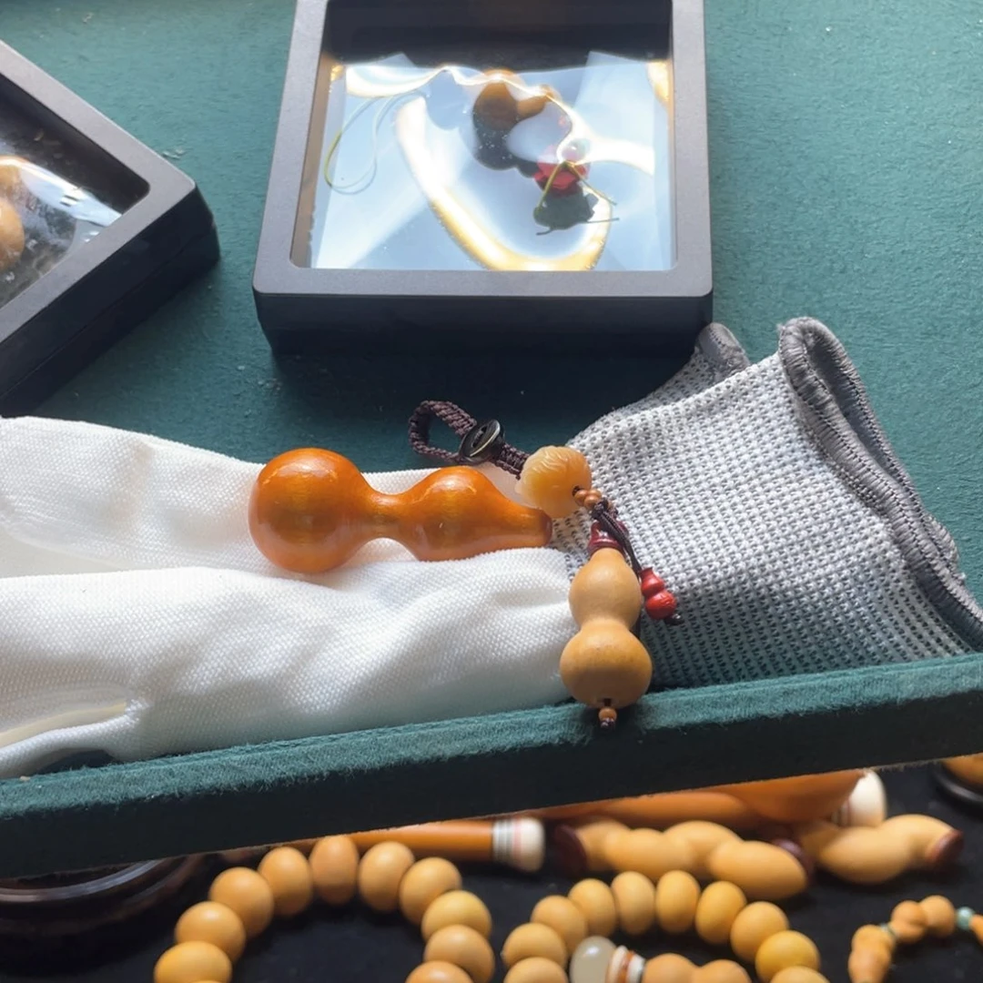 大自然的秘密第十一节你是谁的小