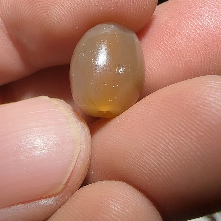 藏区老唐球保老漂亮