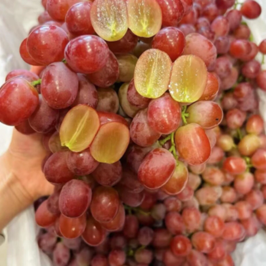 新疆纯甜克伦生葡萄一箱净3斤内蒙古自治区
