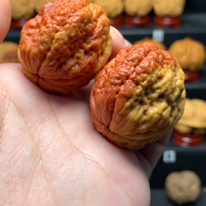 文玩核桃把件38七彩鱼籽金蟾