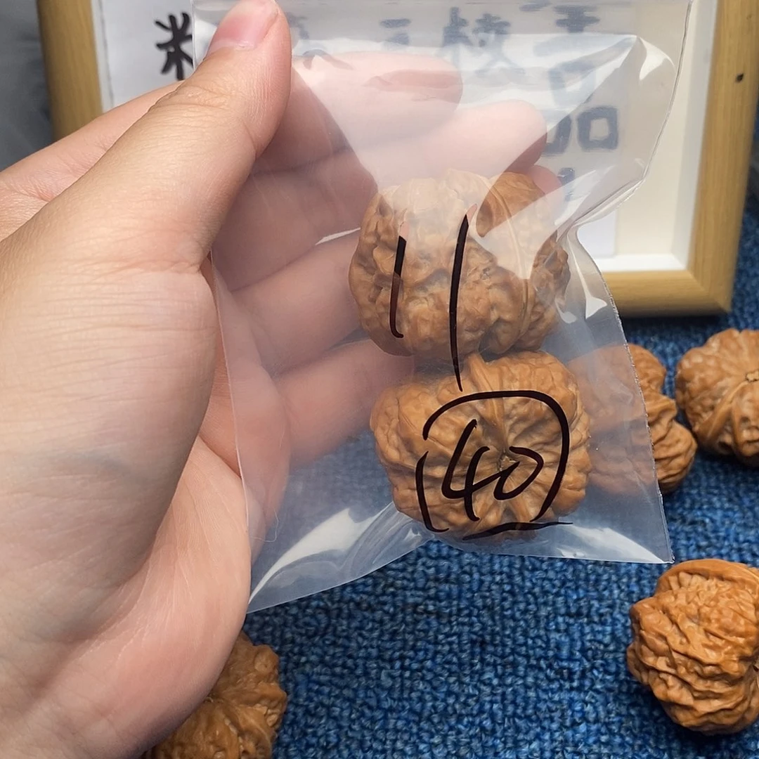 核桃哈哈哈哈哈哈哈哈哈哈哈哈