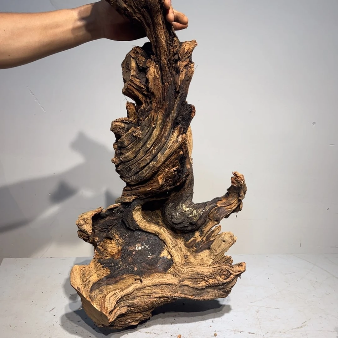 麒***卫柏木（崖柏）陈化的