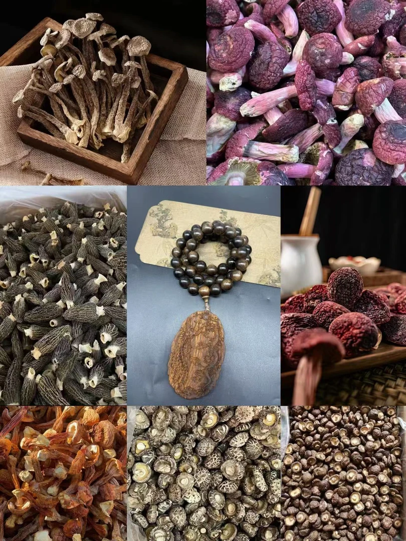 【土特产菌  淼儿专属】DY-XYN03+YD82