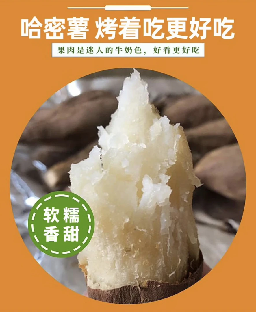 冰糖哈蜜薯新鲜奶油地瓜红薯地瓜白心白瓤番薯 哈蜜精选装大果5斤