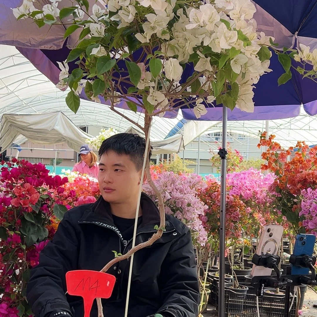 冉***冉大部分花苞少量开放M4口红