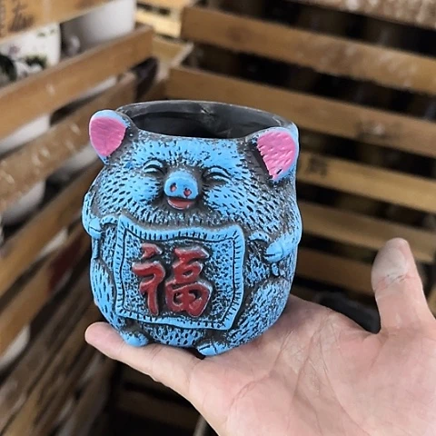 ····全是福利····