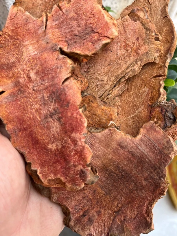 【彭彭现収山货】土茯苓-500g-1000g食用农产品