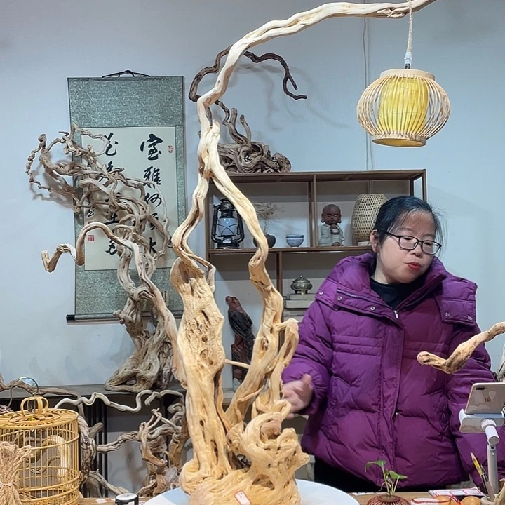 静***开木杜鹃根根艺摆件