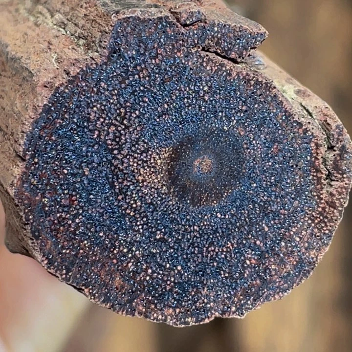 降真香手串/手链定制