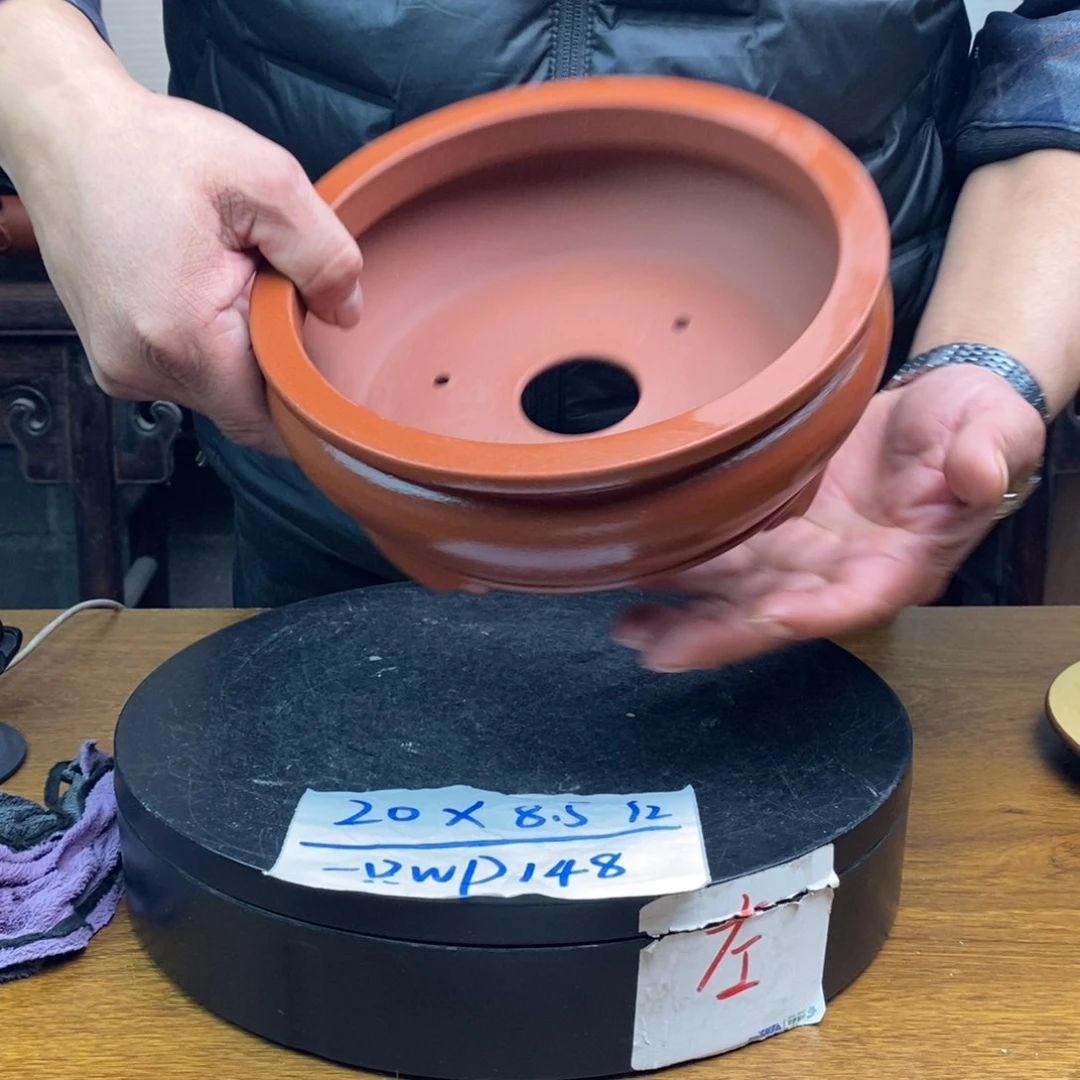 红陶货号一只WP148