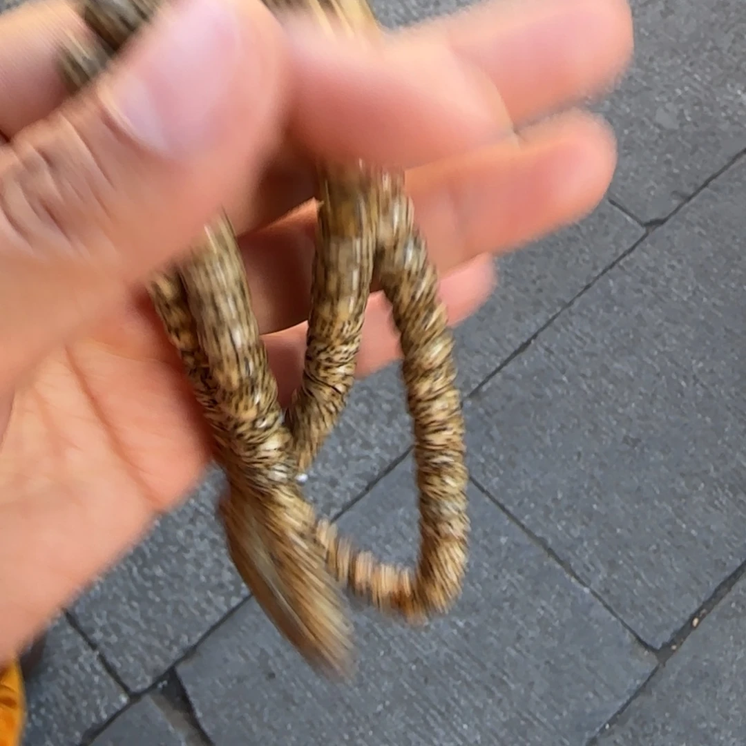 星月菩提吊坠星月