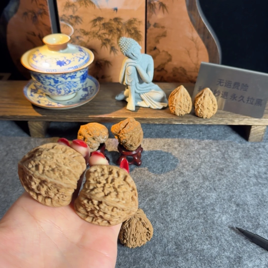 全品42白狮子老树克重49