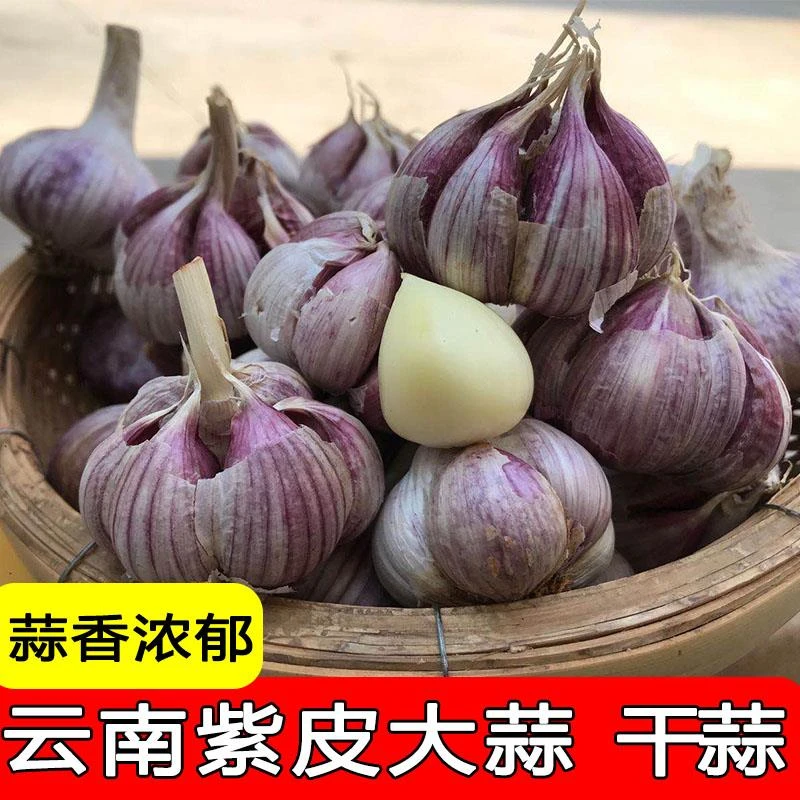 农家干大蒜云南紫皮大蒜农家新干蒜头多掰蒜香蒜1/10斤包邮红皮蒜