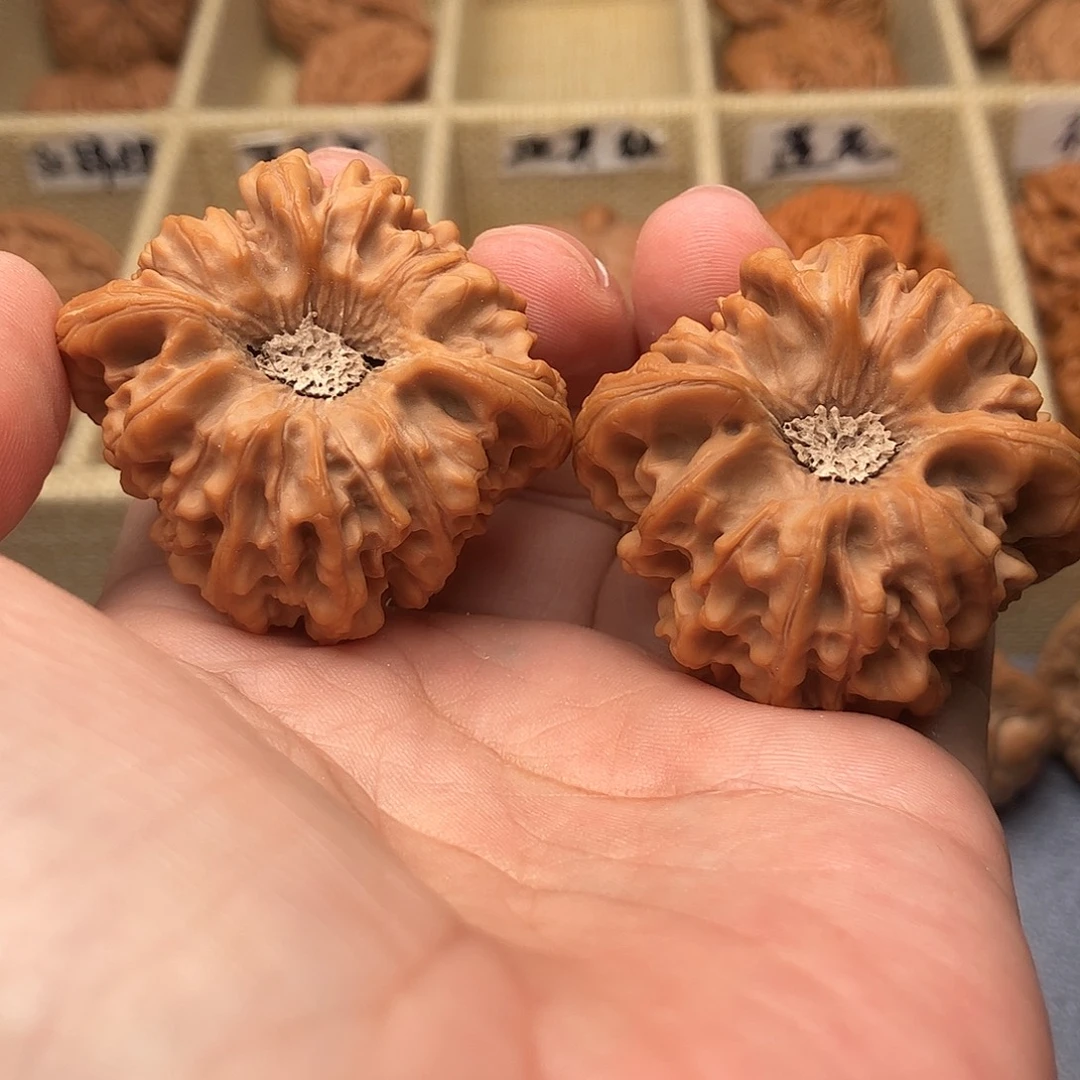 文玩核桃把件龙门涧狮子头44（头货精品