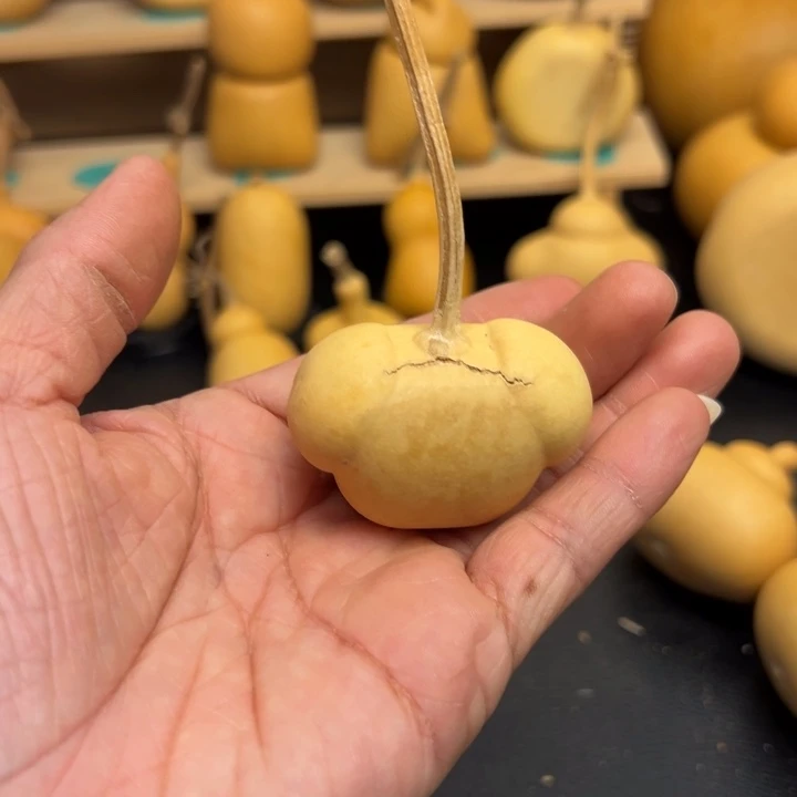 冰**梨6666996999999999