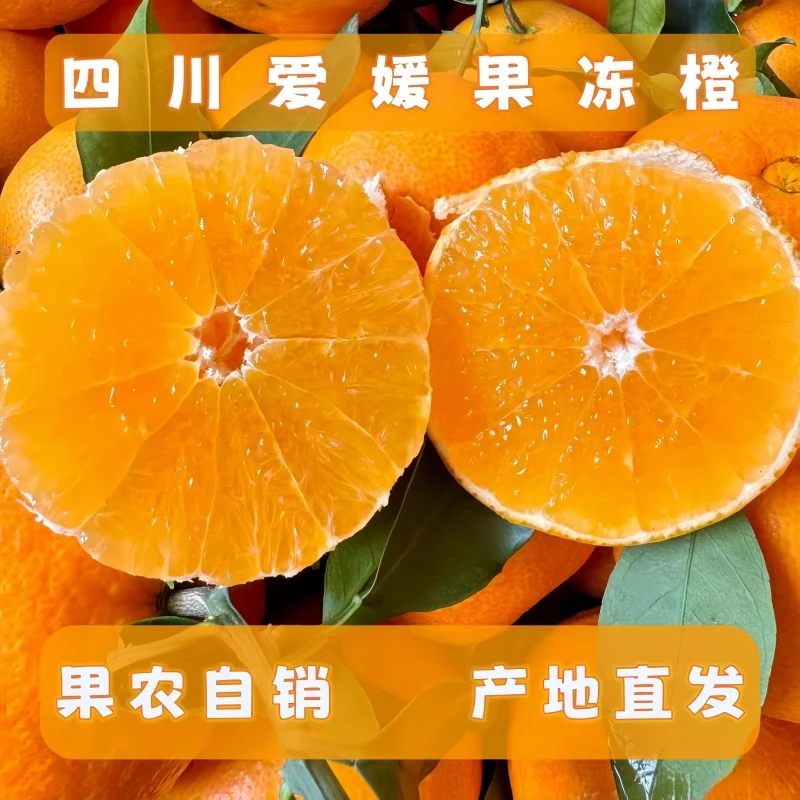 四川爱媛果冻橙清甜爆汁新鲜采摘橙子巨无霸大果当季水果眉山橙
