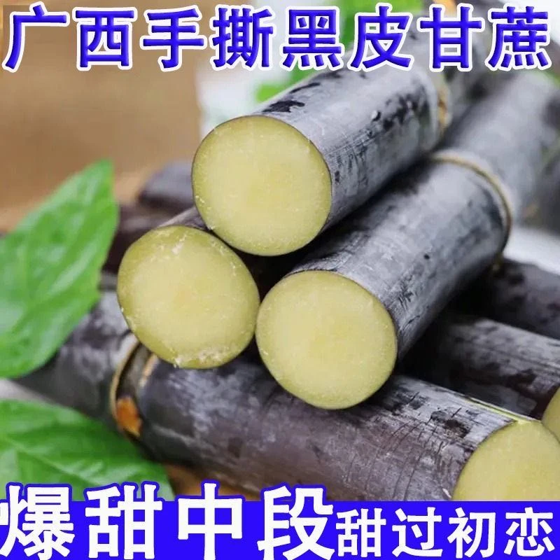 【正宗广西黑皮甘蔗】黑皮热带孕妇水果新鲜现挖现砍脆甜多汁应季