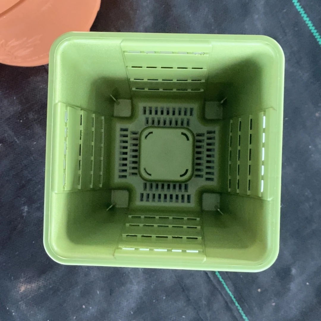 树脂6个16口果绿方无托