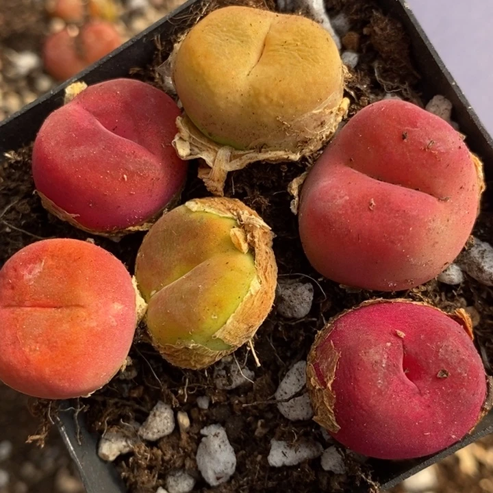 4103一组一组一组