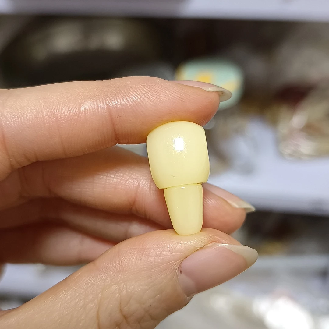 骆驼骨藏式佛头分体三通驼骨佛头 直径12左右