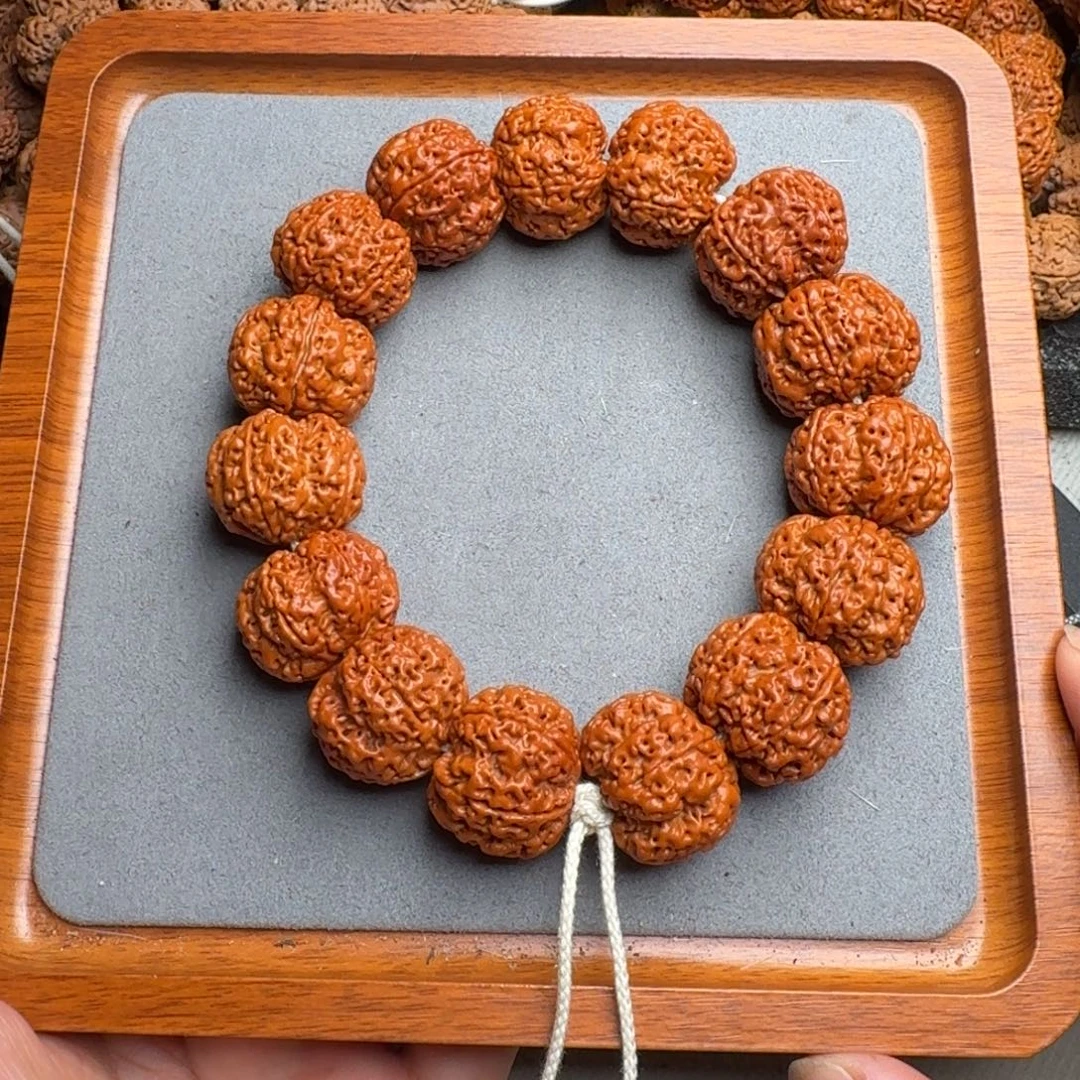 菩提5号尼泊尔大金刚27满肉梅花