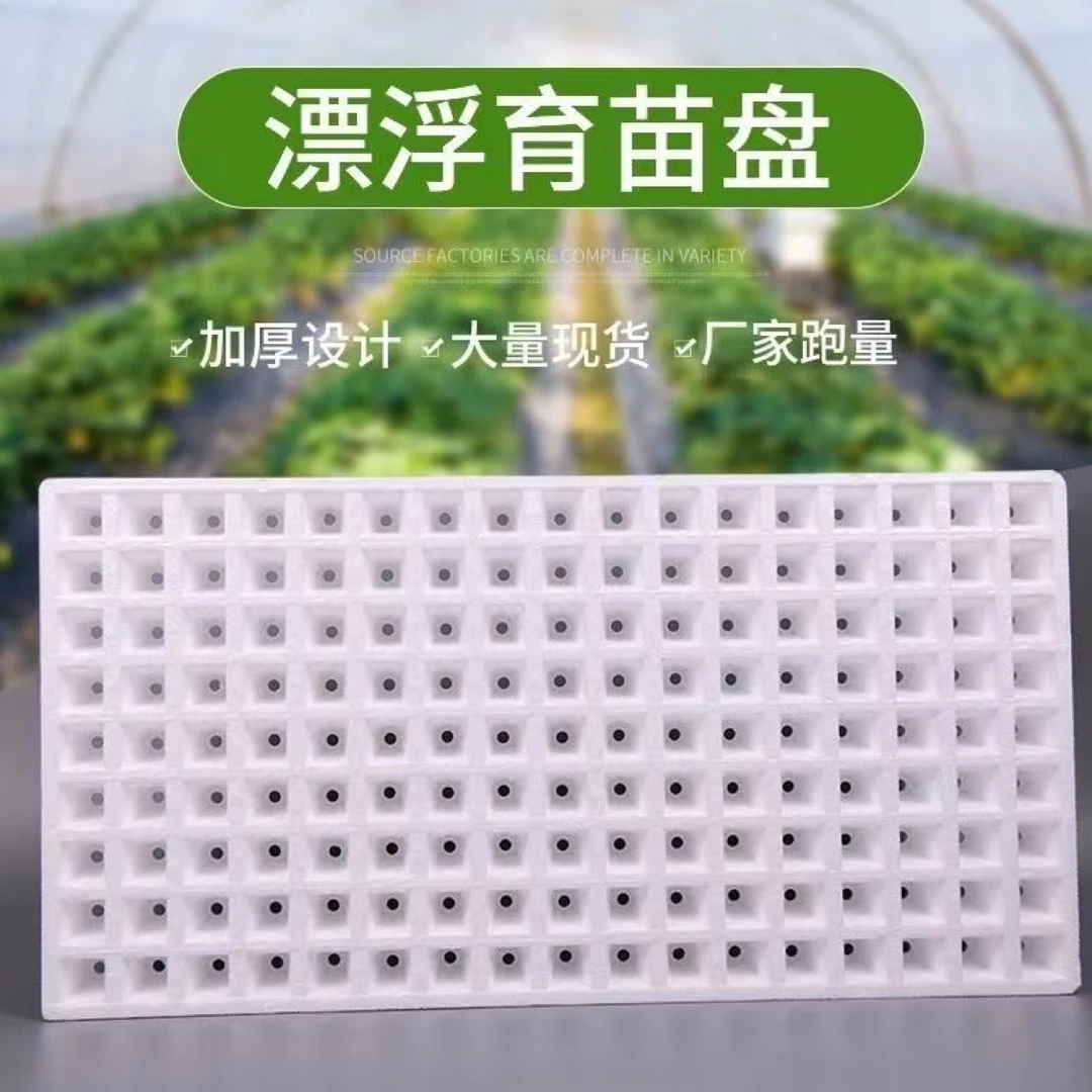 高特厚162穴泡沫漂浮育苗盘适用于瓜果蔬菜种子育苗