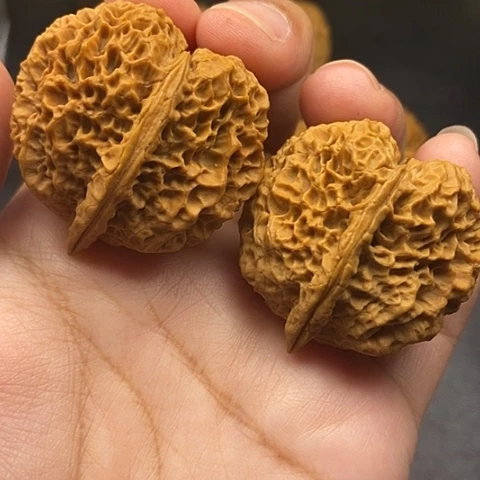 文玩核桃把件39尺荒古金蟾