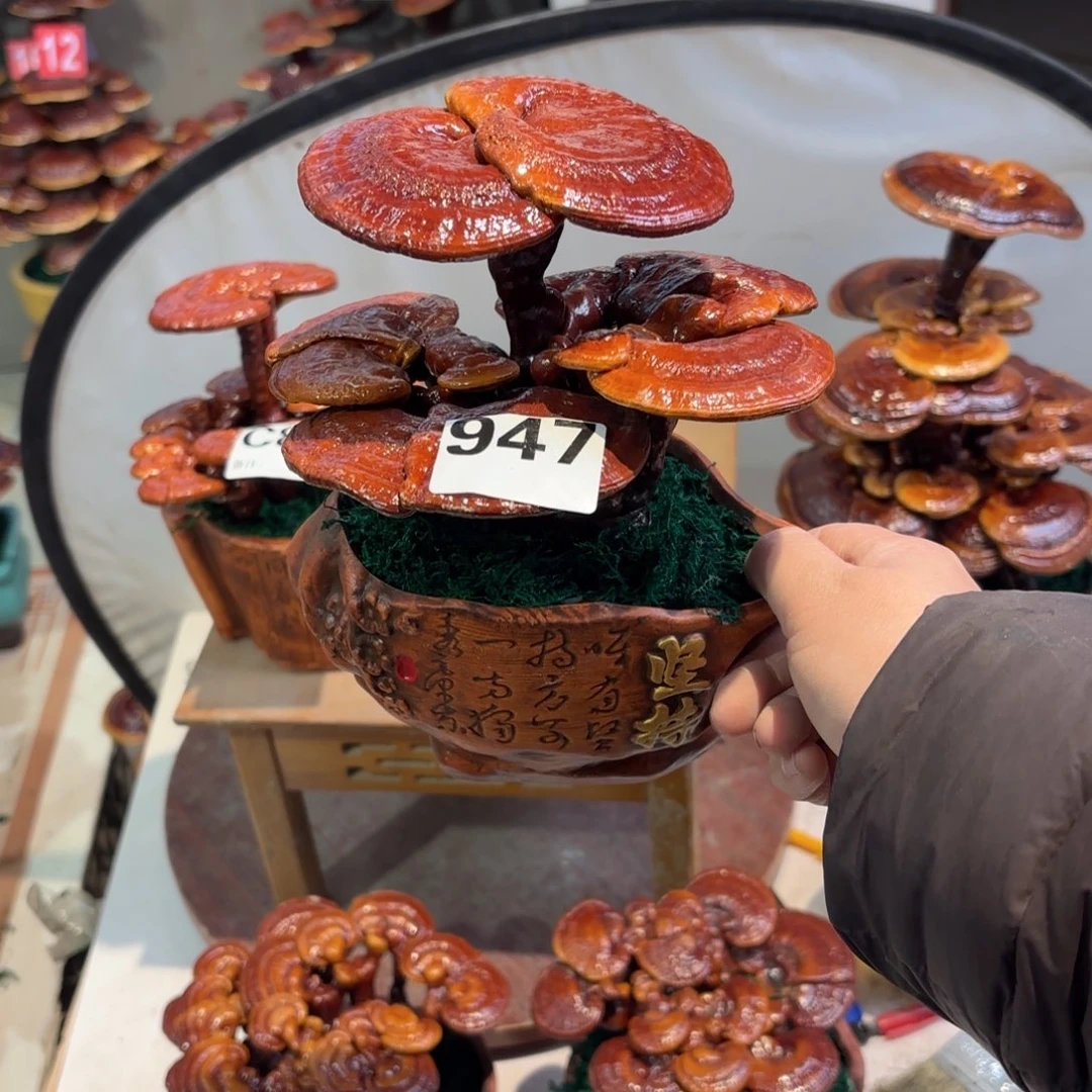 五***沐无花朵灵芝888888888888888888