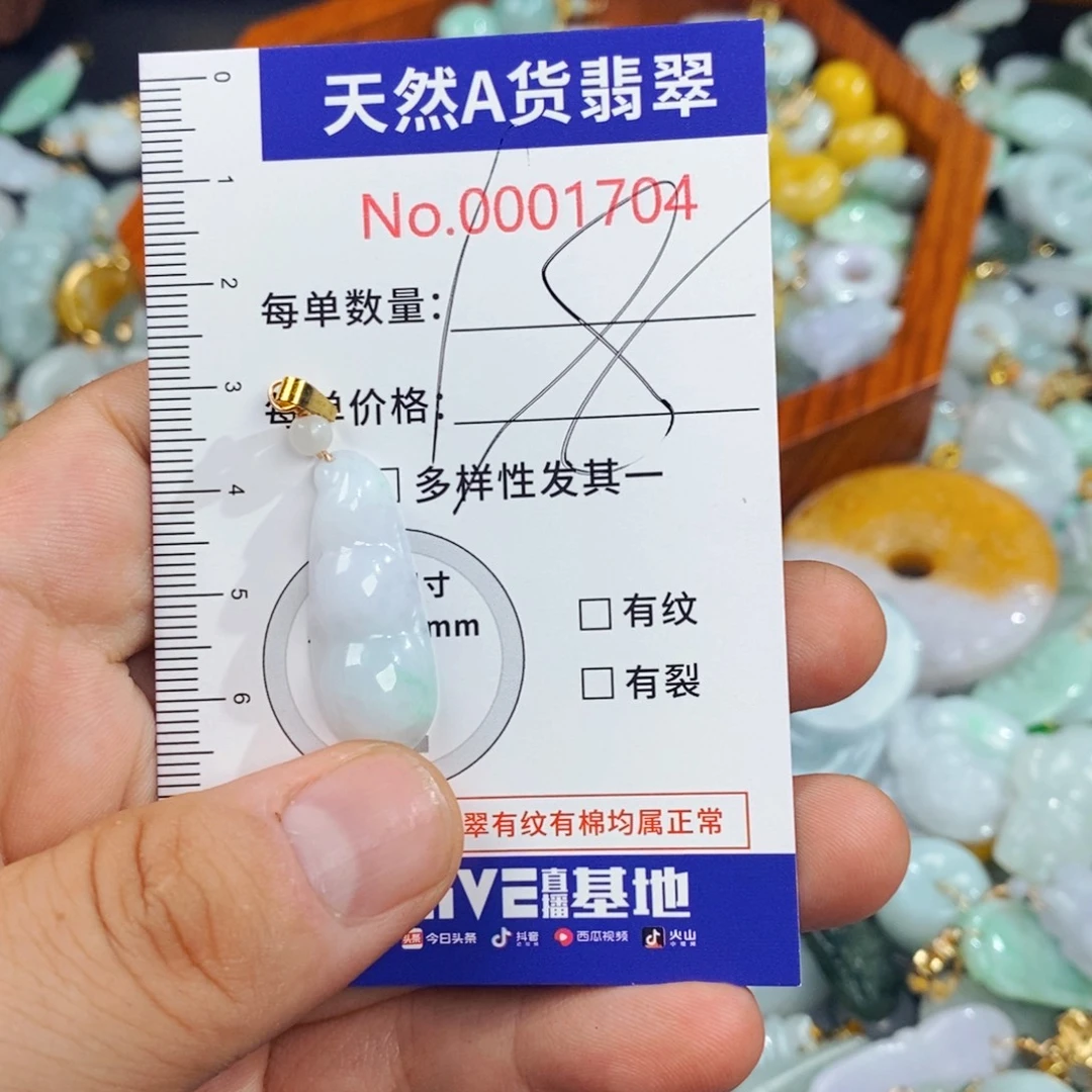 傻****颈饰未镶嵌翡翠1704