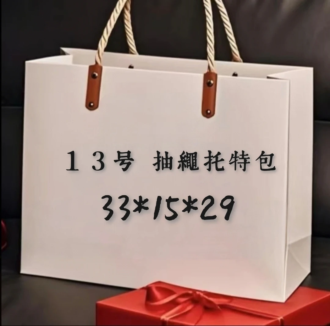 Y 013号 女士拉链休闲单肩包抽绳托特包 A77020-9