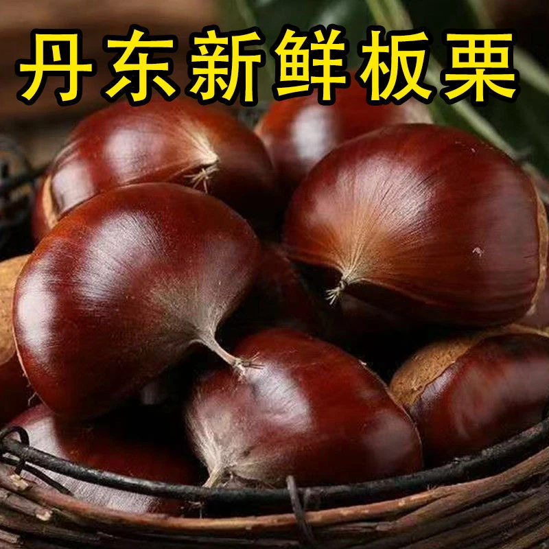 【拍2斤送3斤】新鲜货丹东大板栗栗子非野生毛栗蔬菜菜板栗难剥皮