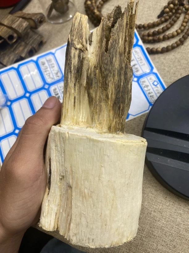 棋楠沉香原材料多样性发一