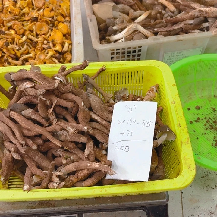 ^***^南华，，，，，中国大陆