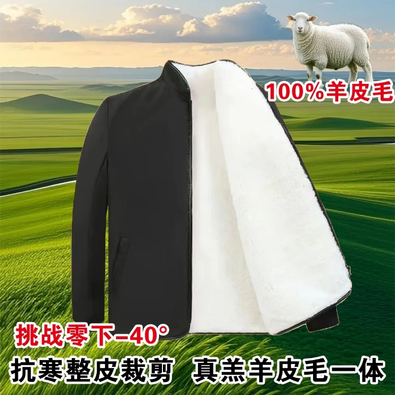 冬季真羊皮毛一体羊皮袄加厚内胆超厚保暖立领棉袄防寒外套上衣