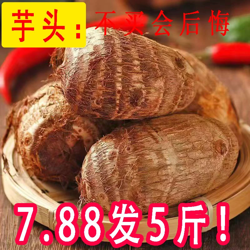 新鲜现挖芋头应季现挖芋艿软糯香甜香芋头毛芋头河南牛奶小芋头