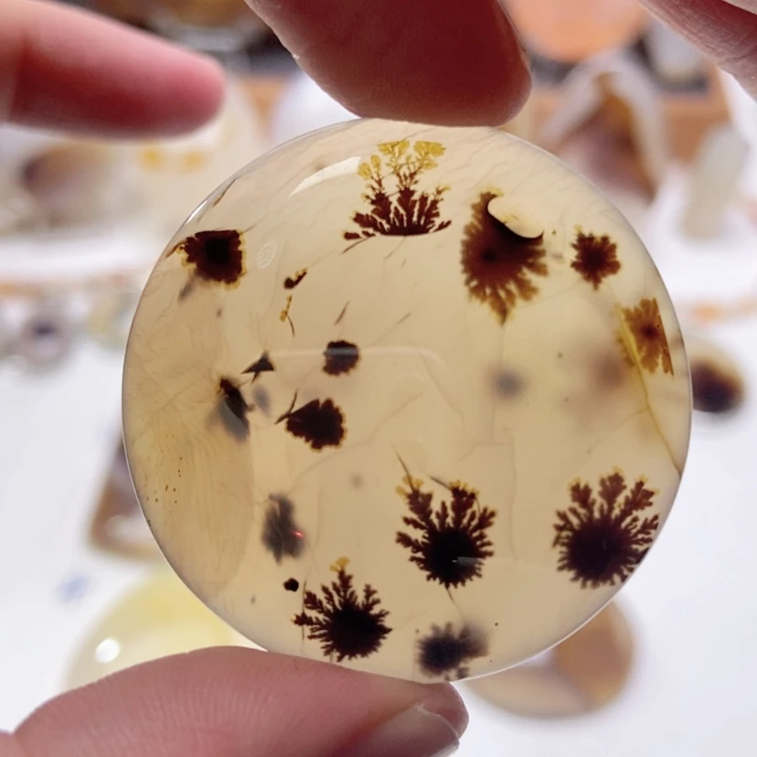 【闪购商品】玛瑙/玉髓颈饰未镶嵌