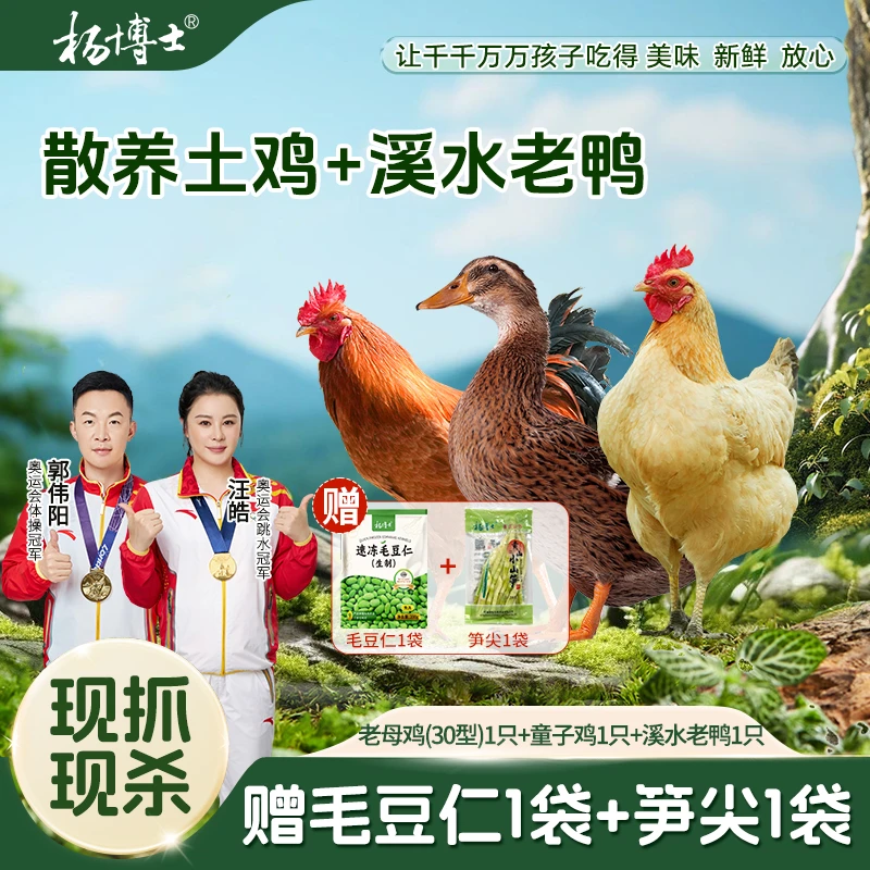 【秋冬三宝】食安放心杨博士土鸡皖南深山散养童子鸡老鸭高品质肉质