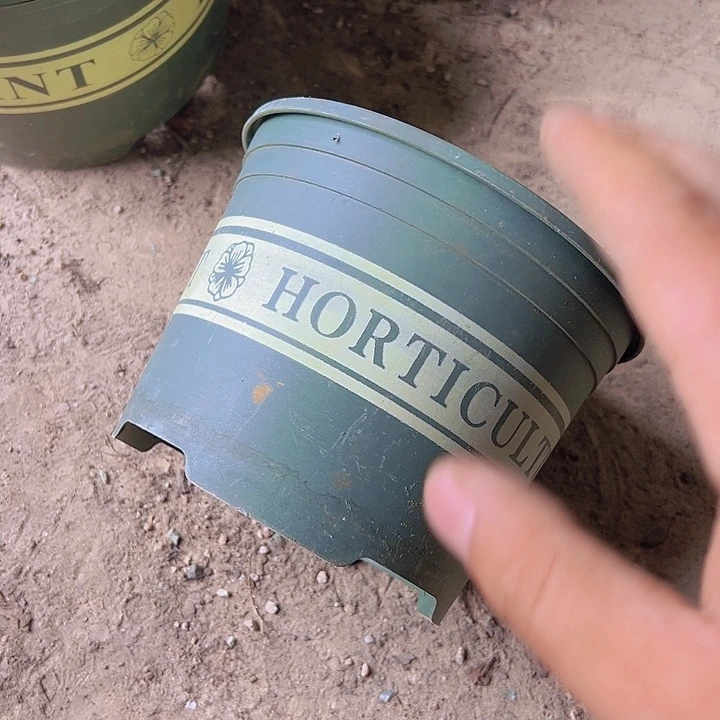 加仑盆口径15.5高12发12个