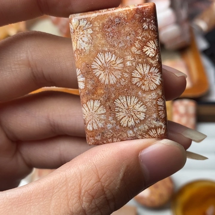 山***里未镶嵌珊瑚玉硅化玉