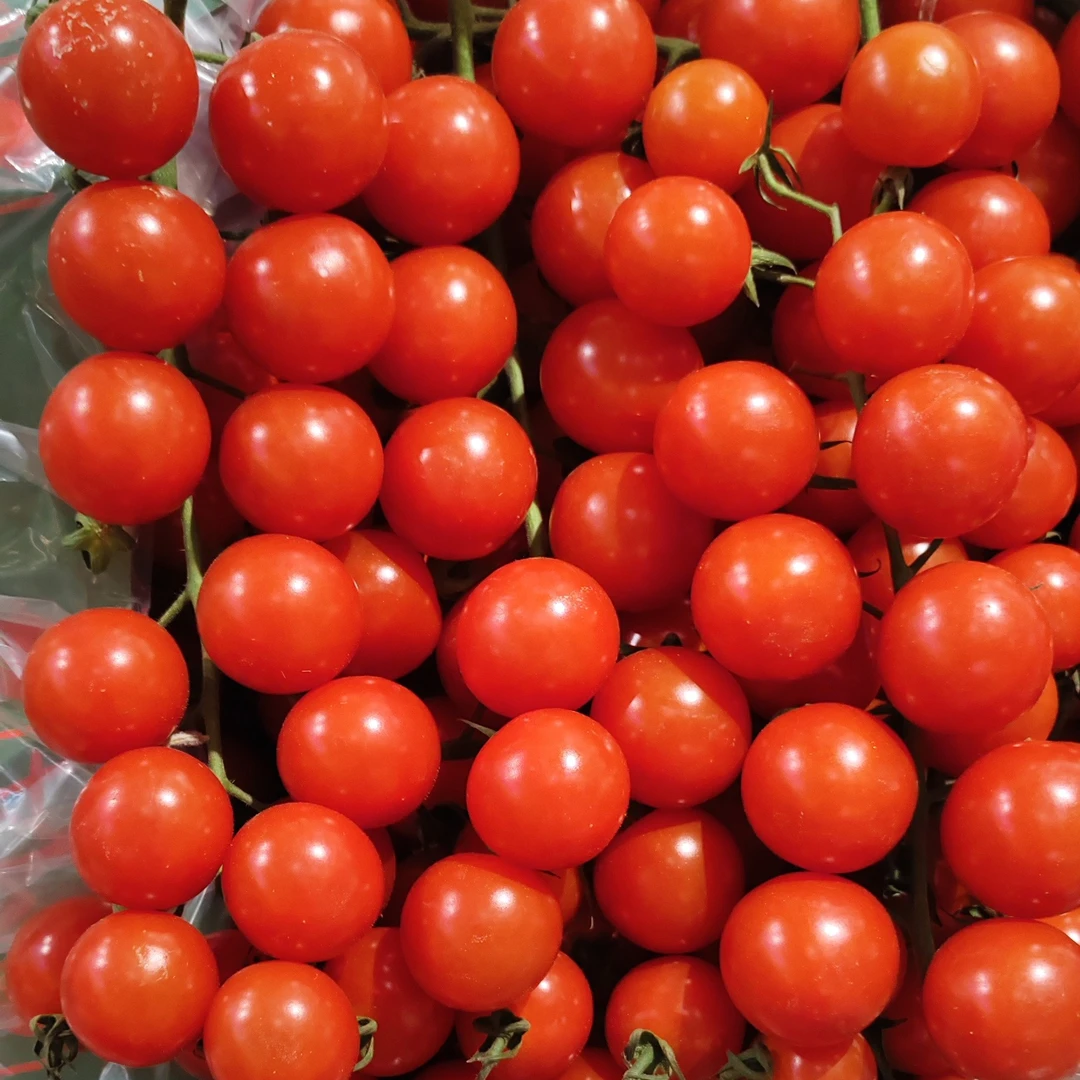 千禧串番茄小番茄一公斤38.8元番茄同城配千禧圣女果新疆维吾尔自治区