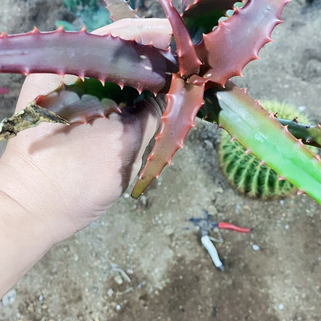 佑**?oooooooooooooooo