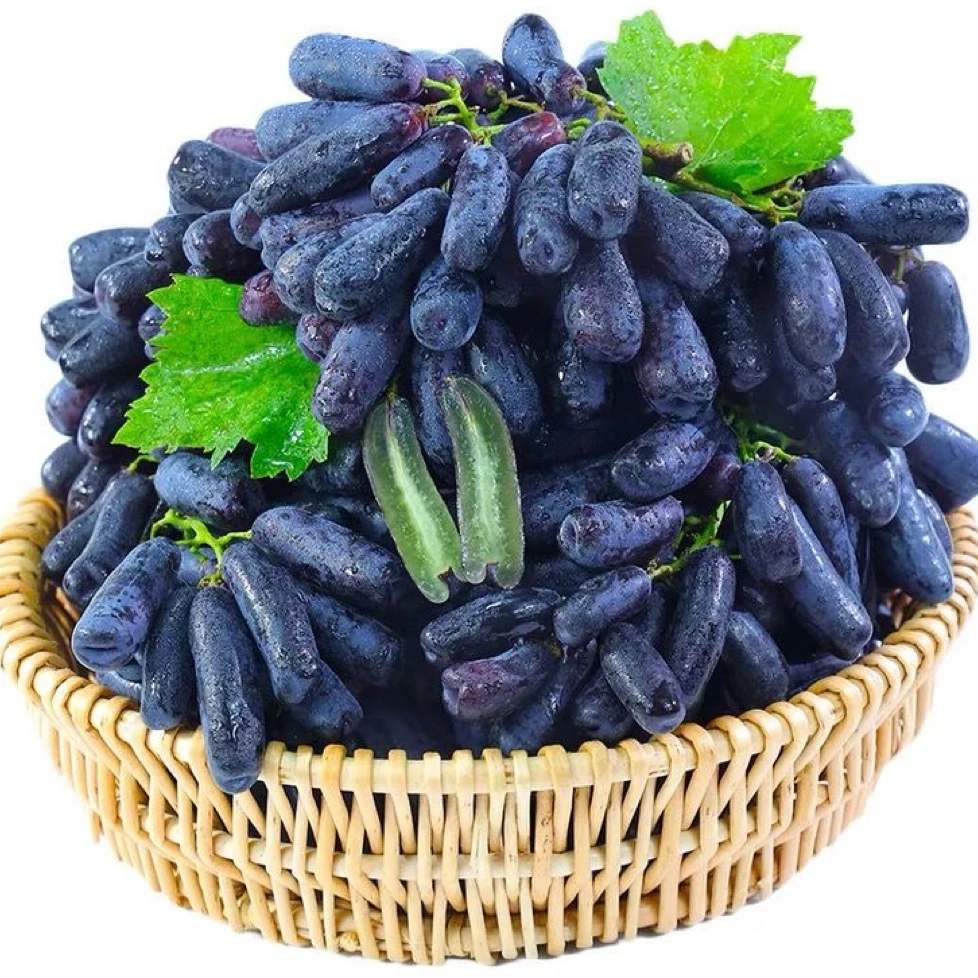 【现货速发】新鲜蓝宝石美人指葡萄果园直发酸甜孕妇水果黑提子