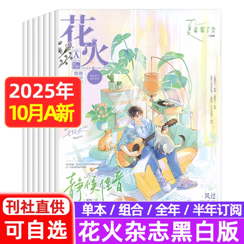 花火黑白版杂志2025年1-10月AB 半年/全年订阅青春校园飞言情期刊