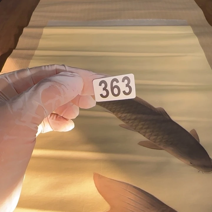 M****d哈哈哈哈哈哈363