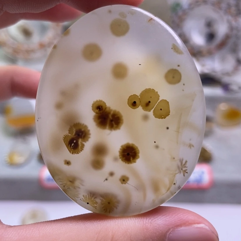 【闪购商品】玛瑙/玉髓颈饰未镶嵌