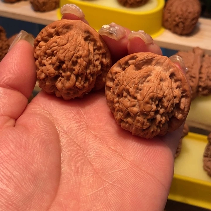 官方网站发布消息