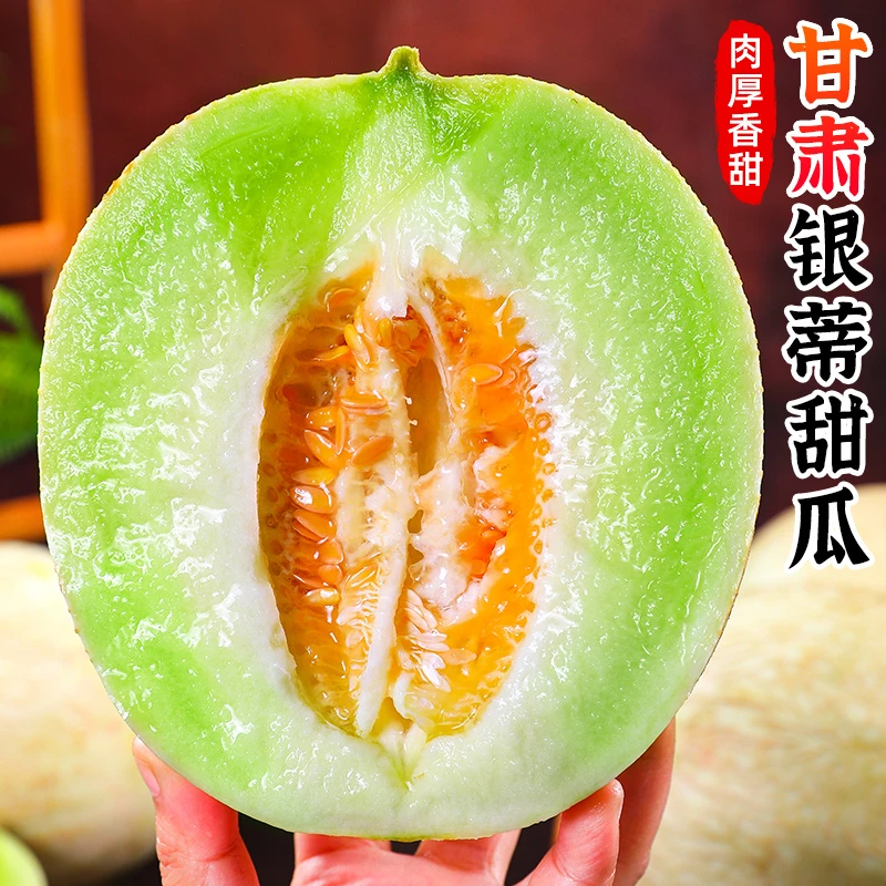 【香甜多汁】正宗甘肃银蒂甜瓜8-9斤沙漠蜜瓜白兰瓜甜瓜新鲜水果