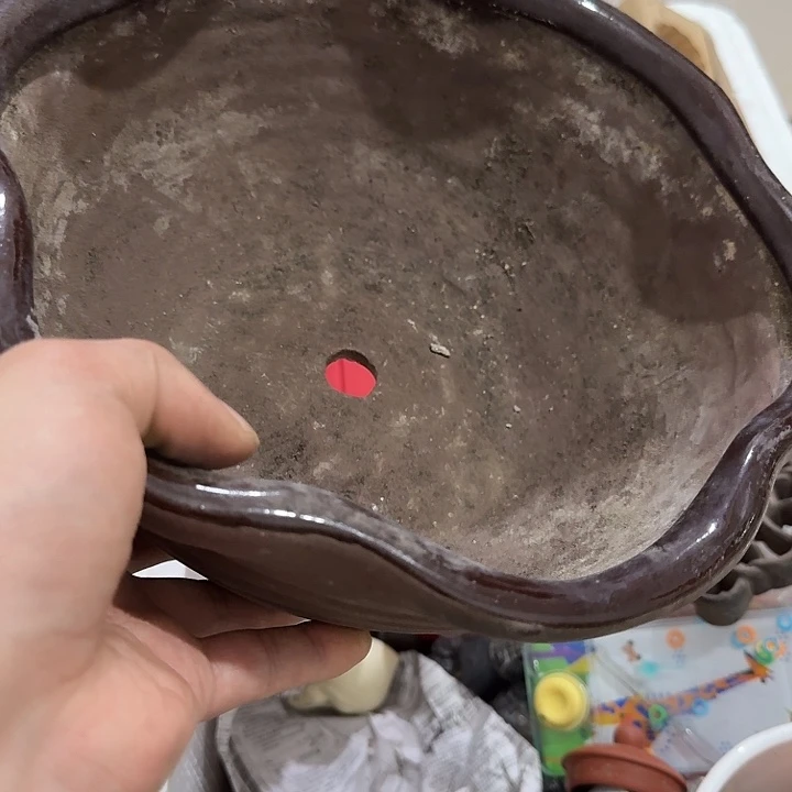 陌***颜扇子吃b宝贝宝贝宝贝宝贝宝贝